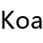 Koa中文网
